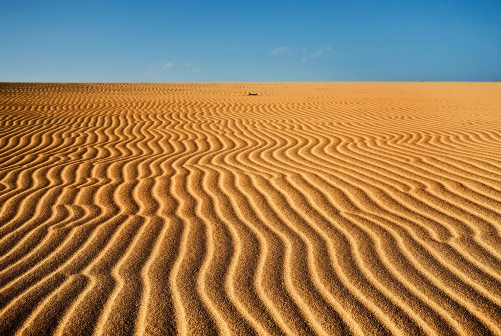 Excursies Fuerteventura duinen