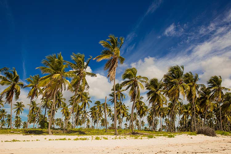 Vakantie Caribische eilanden: Dominicaanse Republiek