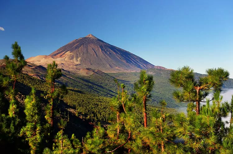 Tenerife of Gran Canaria: vulkaan El Teide Tenerife