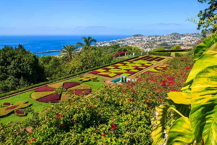 Leukste badplaatsen Portugal - Funchal