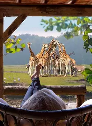 Vakantie Beekse Bergen - overnachten