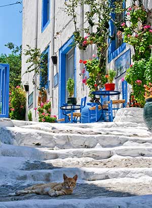 Kos of Rhodos - Kos-Stad