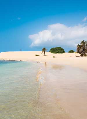 Sal of Boa Vista: Boa Vista
