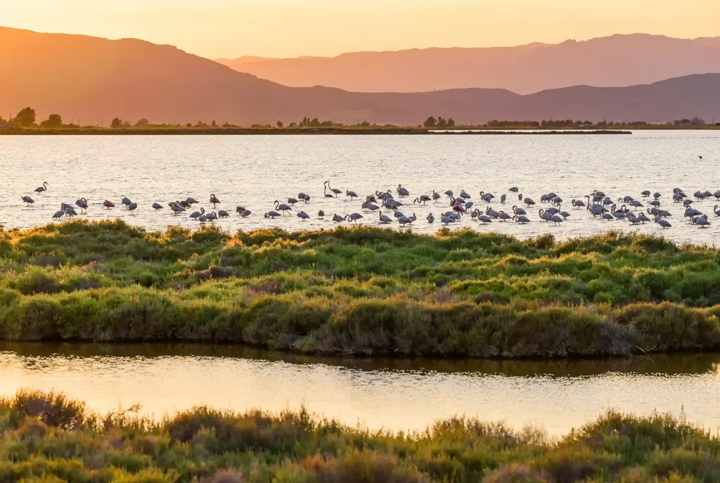 Wat te doen aan de Costa Dorada: Delta de l'Ebre