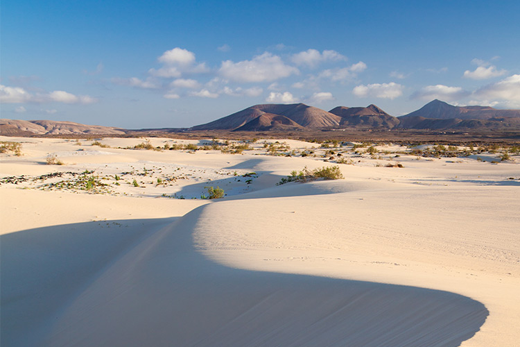 vakantie-fuerteventura-tips-zien-en-doen