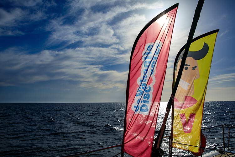 Insider tips Gran Canaria: catamaran