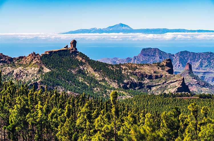 Gran Canaria met kinderen: Roque Nublo