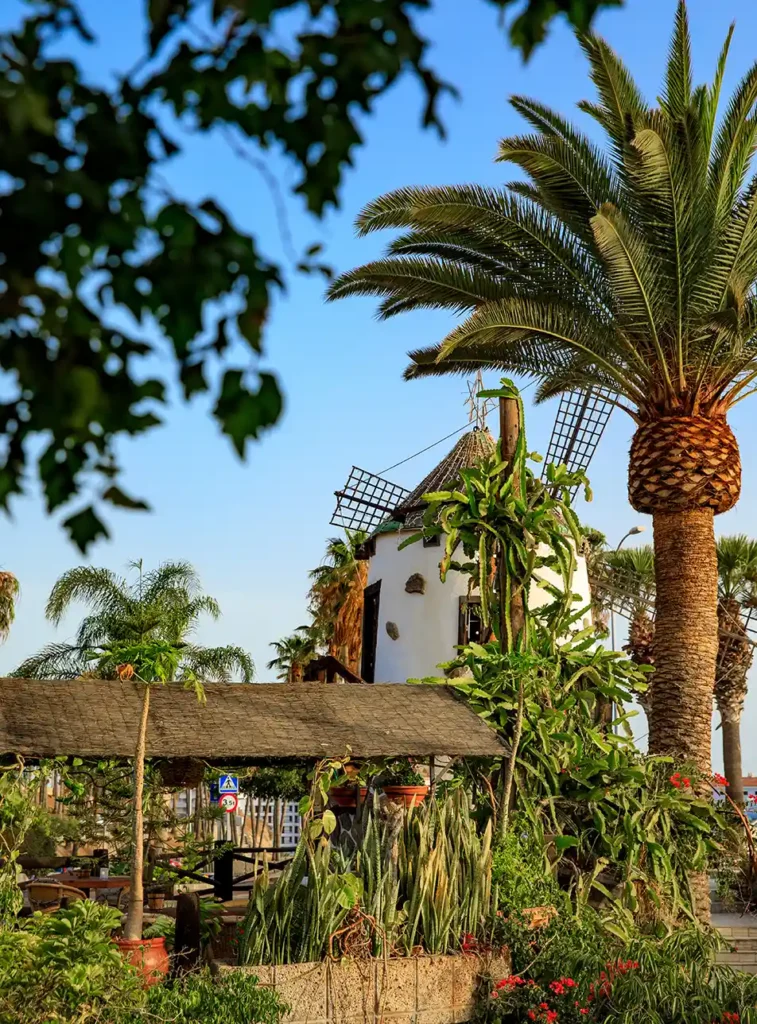 Leukste restaurants Tenerife: El Molino Blanco