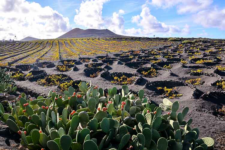 Mooiste eilanden Europa - Lanzarote