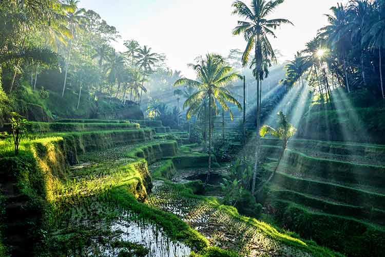 Spätsommerurlaub - Bali
