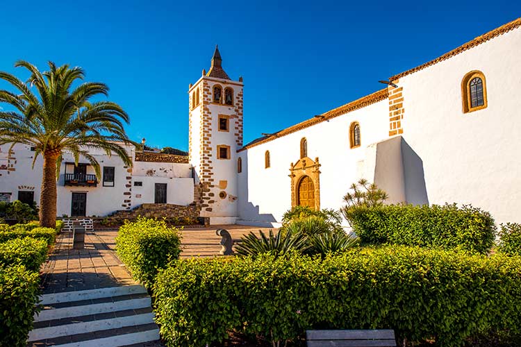 Overwinteren Canarische Eilanden: Fuerteventura