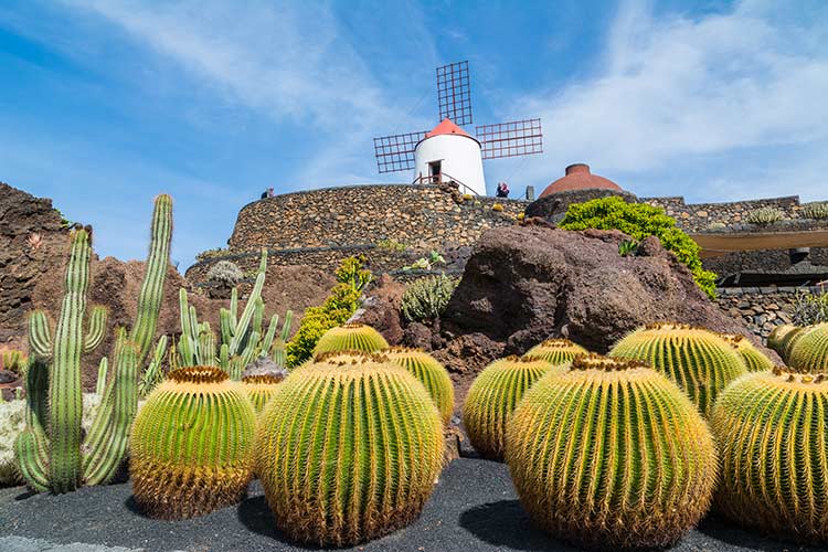 Overwinteren Canarische Eilanden: Lanzarote