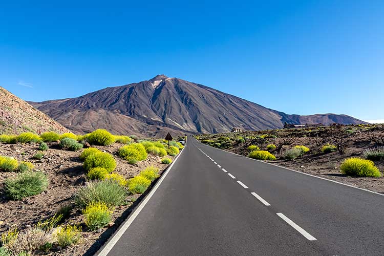 Overwinteren Canarische Eilanden: Tenerife