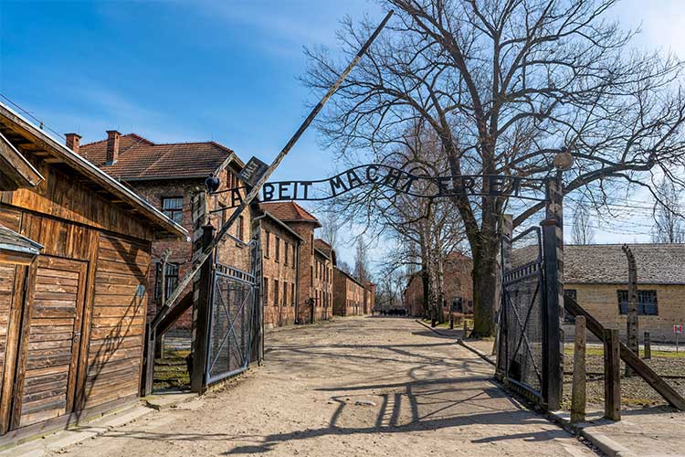 Excursies Krakau: Auschwitz-Birkenau