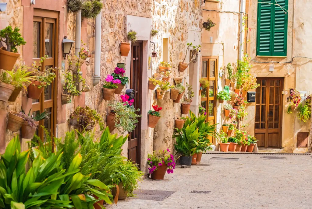 Excursies Mallorca: Valldemossa