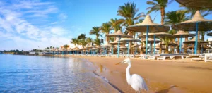 Winterzon in Egypte; 7 redenen om die vakantie te boeken