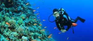 Duiken in Hurghada: waar vind je de mooiste duikspots?
