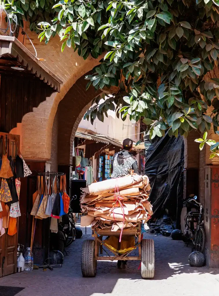 Urlaub Marrakesch Tipps: Transport