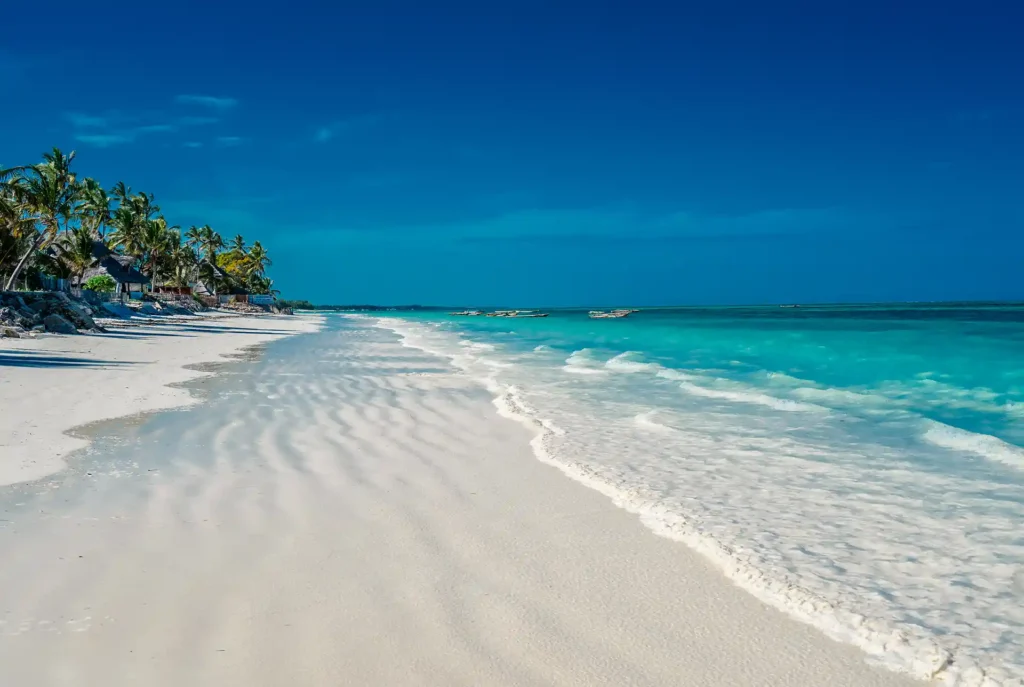 Blue monday overleven, Zanzibar