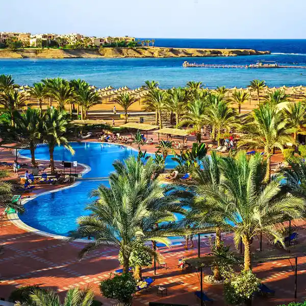 Jaz Solaya, Egypte