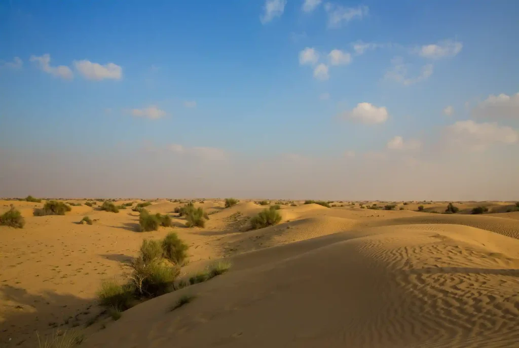 Jeepsafari Dubai: woestijn