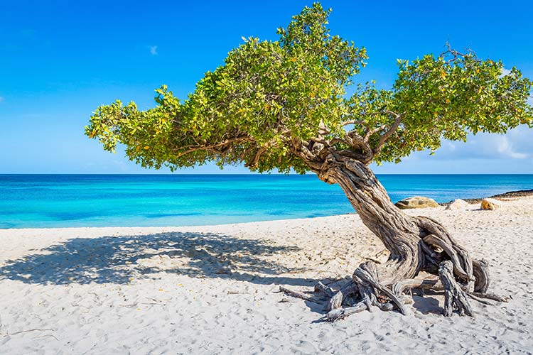 Waar is het warm in februari - Bonaire