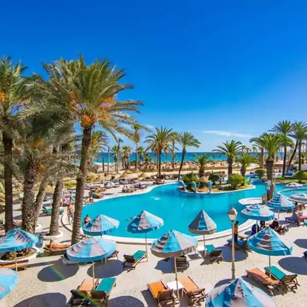 Riadh Palms