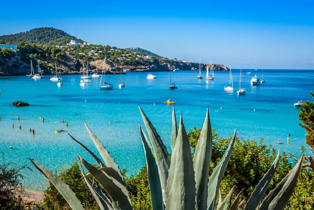 Balearen welk eiland: Ibiza