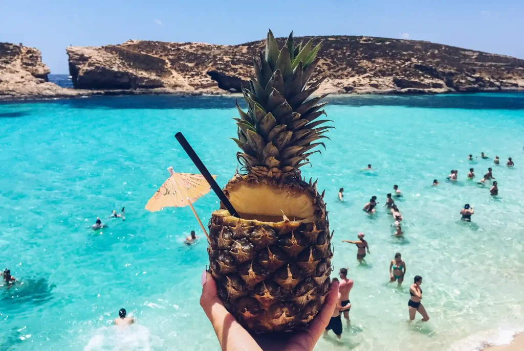 Comino Blue Lagoon Malta - Ananas