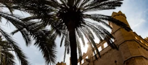Wat te doen in Palma de Mallorca? Afvinken maar!