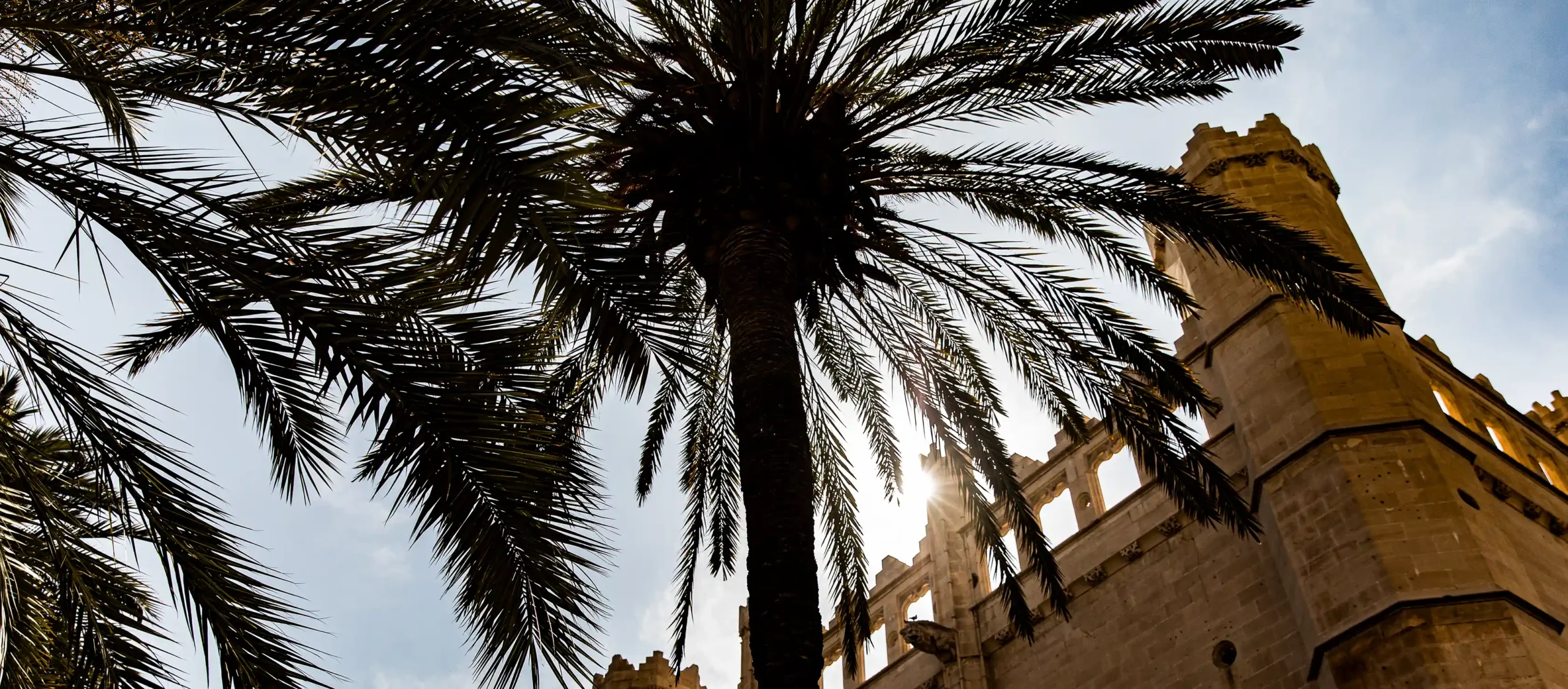 Wat te doen in Palma de Mallorca