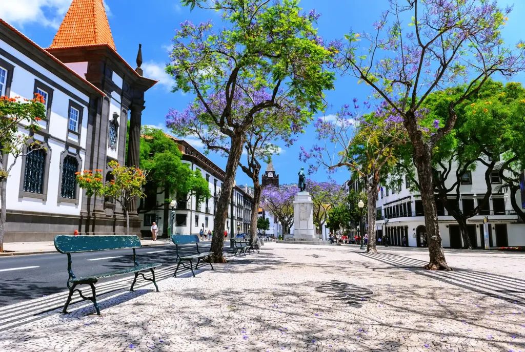 Vakantie Madeira tips: Funchal