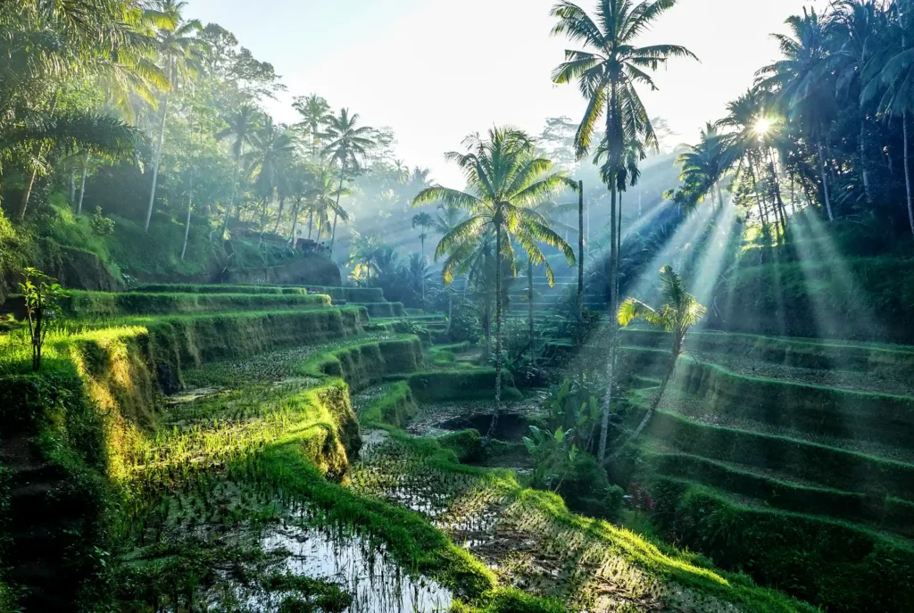 Nazomervakantie bestemmingen - Bali