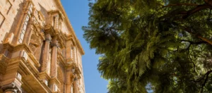 Reisgids Valencia: tips voor een 4-daagse stedentrip