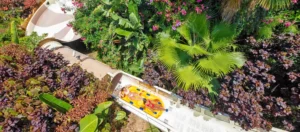 Siam Park Tenerife, het mooiste waterpark van Europa