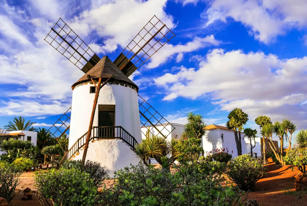 Vakantie Fuerteventura tips: culinair