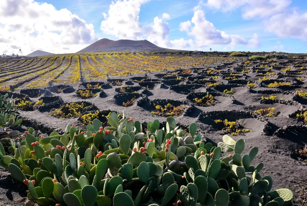 Vakantie Lanzarote tips: zien en doen