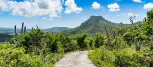Christoffelpark op Curaçao: beklim jij de hoogste berg?