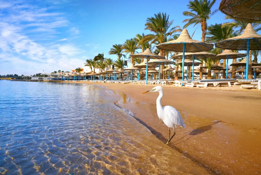 Leukste badplaatsen in Egypte: Hurghada