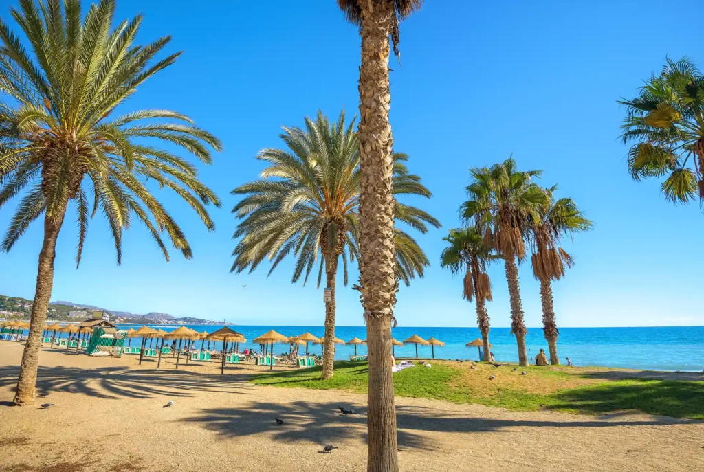Stedentrip strand: Málaga