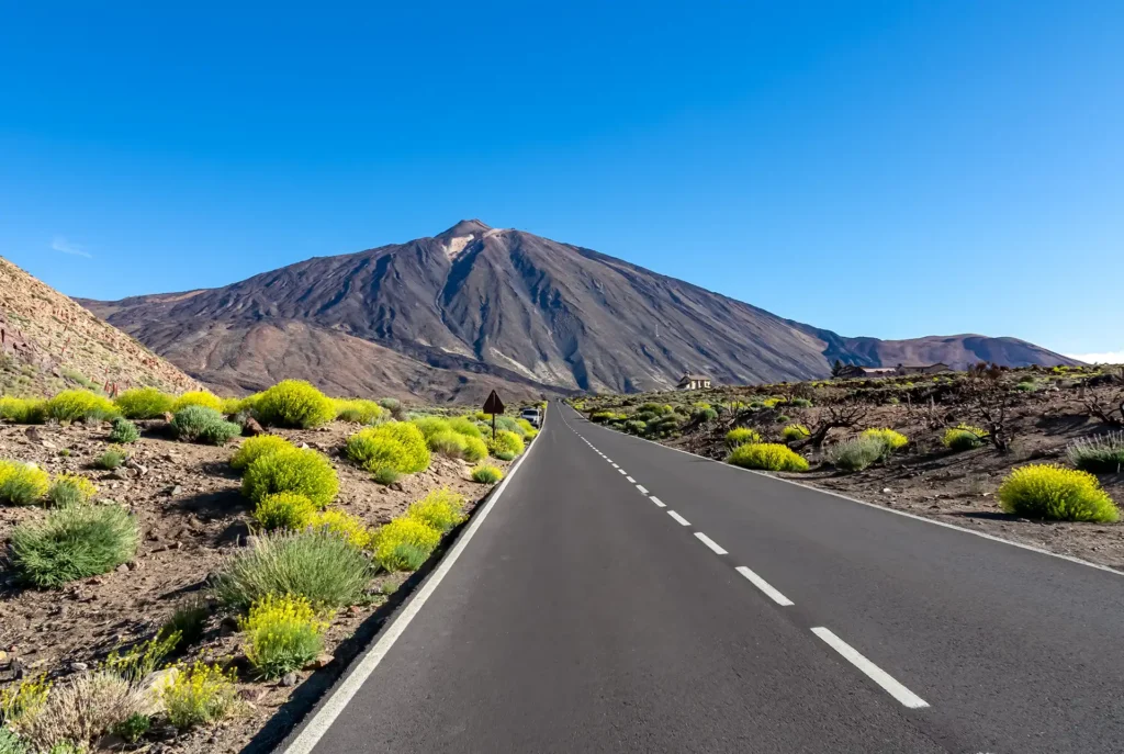 Overwinteren Canarische Eilanden: Tenerife