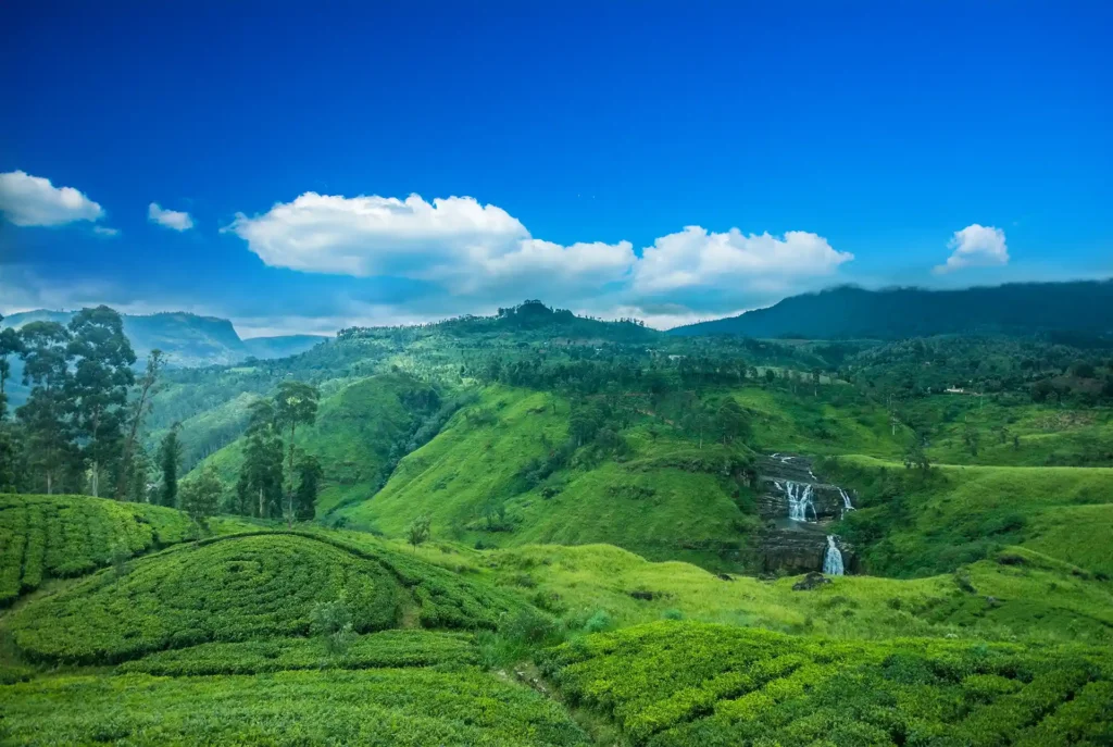 Zon in december - Sri Lanka