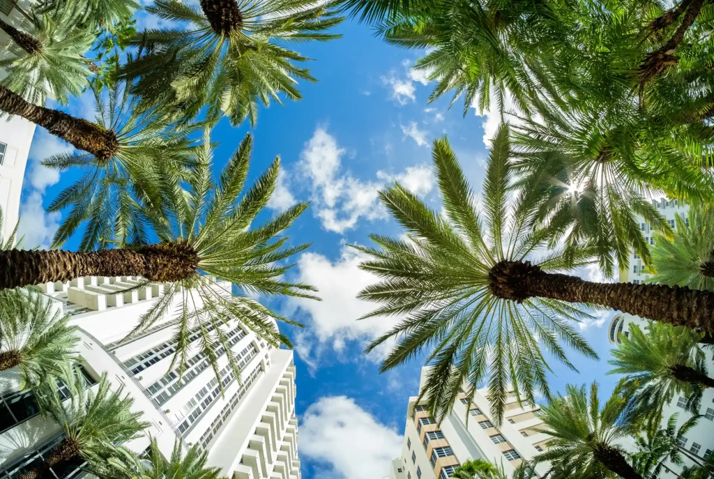 Vakantie maart zon bestemmingen Miami