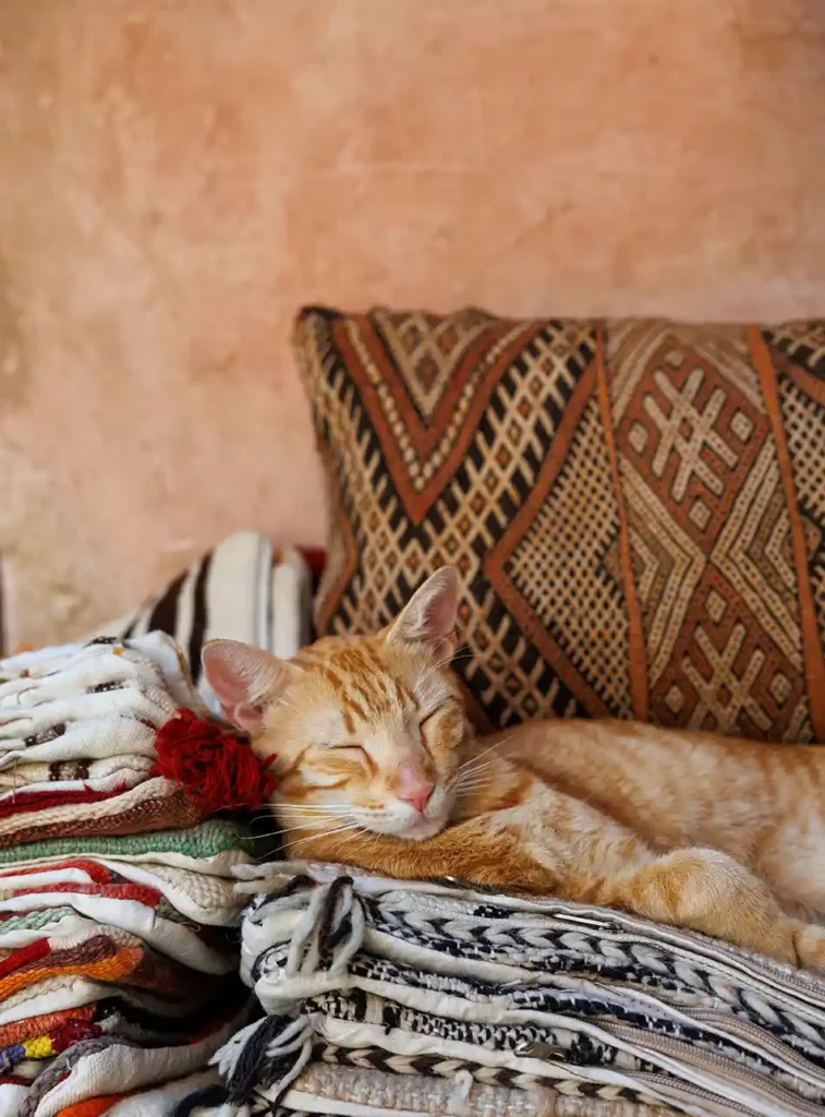 Wat te doen Marrakech: souks