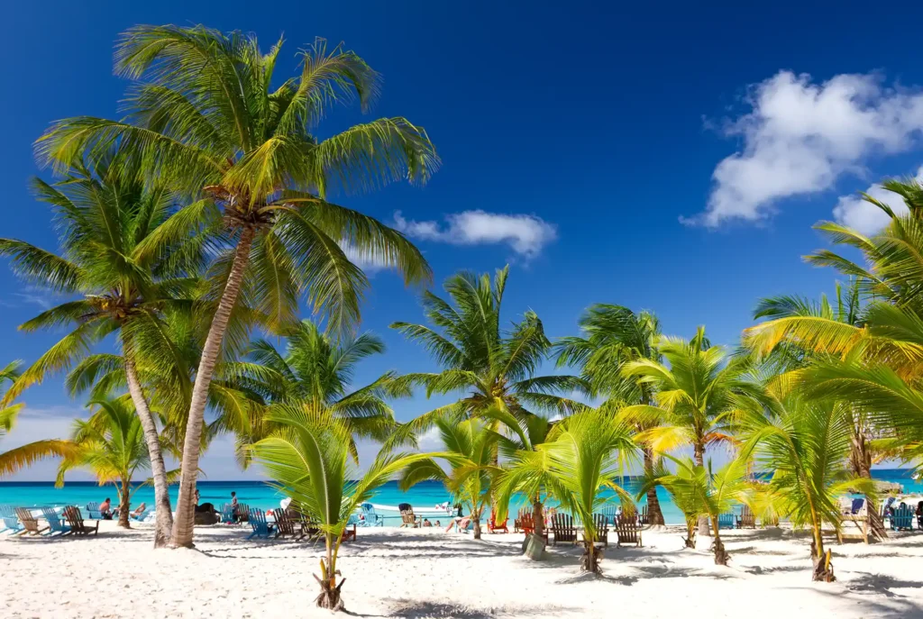 Zon in februari: Saona