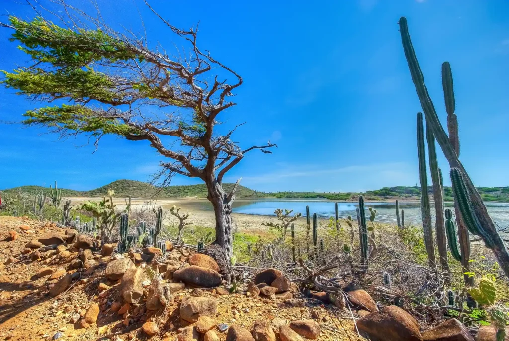 Bezienswaardigheden Bonaire: Washington Slagbaai National Park