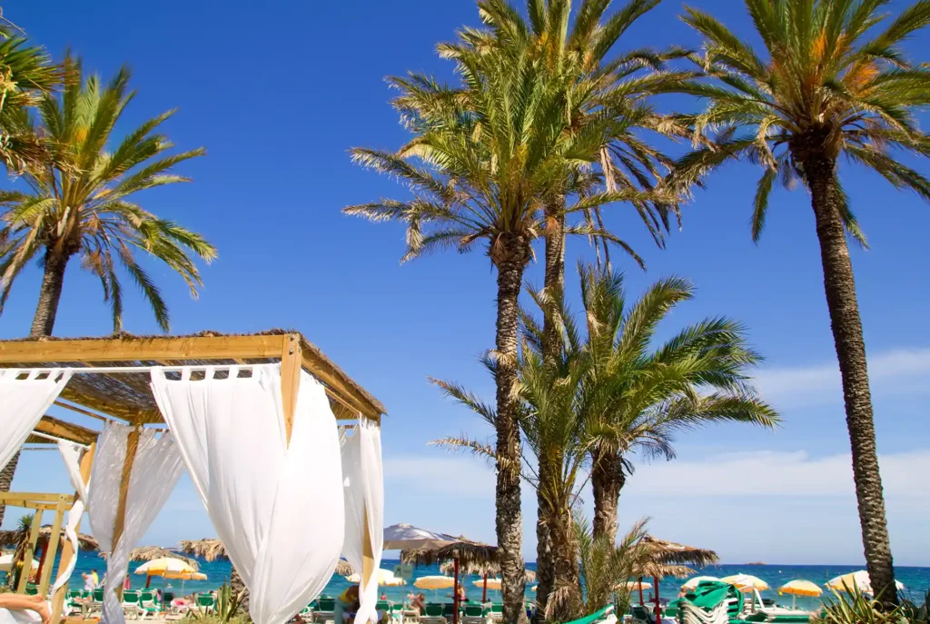 Tropische eilanden: Ibiza