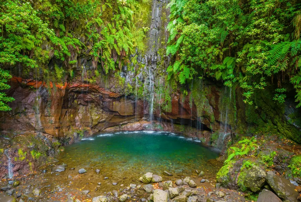 Mooiste hikes Madeira: Levada das 25 fontes