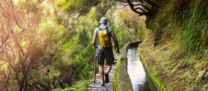 De mooiste hikes op Madeira: welke mag je écht niet missen?