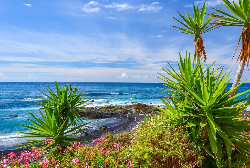Mooiste all inclusive bestemmingen: Tenerife